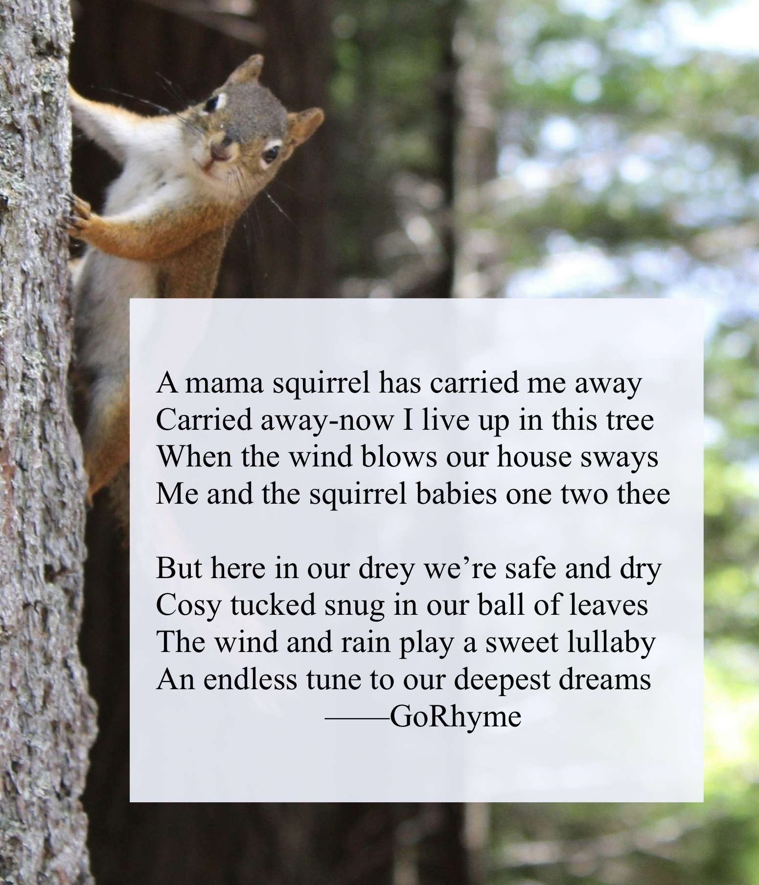 Poetry by Kelly Gray